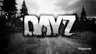 Купить Аккаунт Dayz