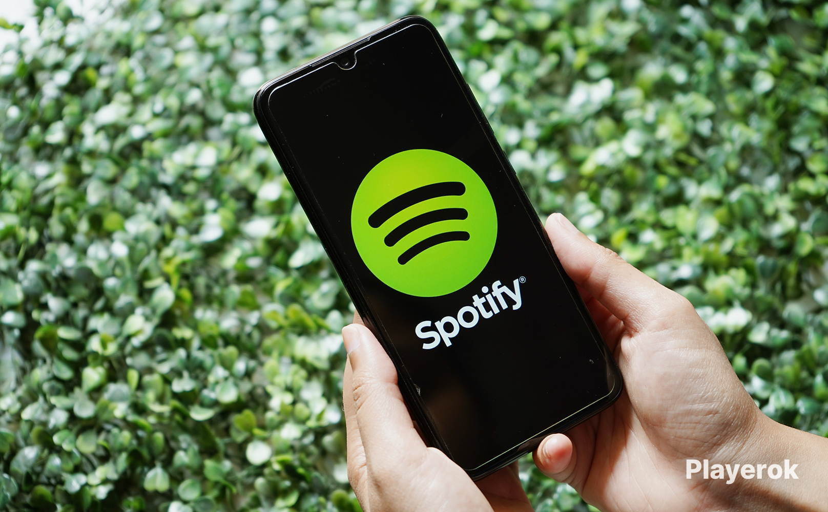 Купить 🐝🌱 Spotify 🌱 ️Новый аккаунт ️* ️ПОЛНЫЙ ДОСТУП ️ Spotify за 100 ...