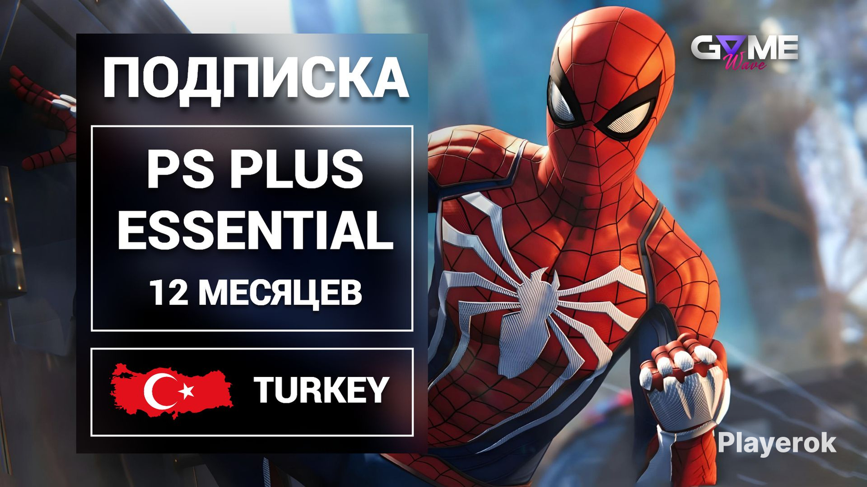 Подписка ps5 в турции