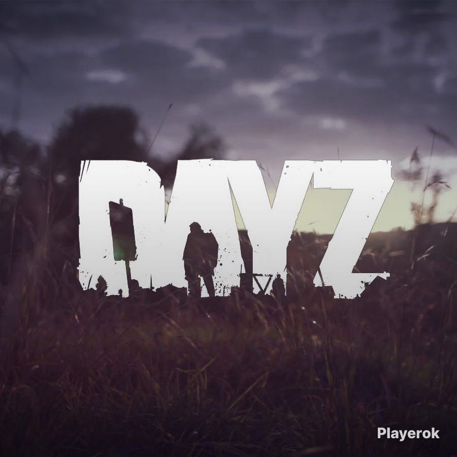 Купить Аккаунт Стим С Dayz