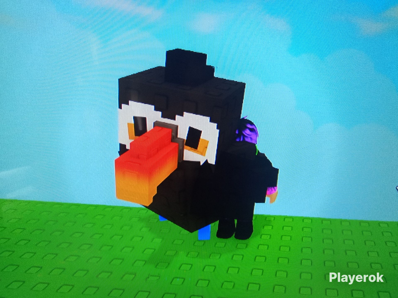 Купить 🌴GROW A GARDEN🌶️ 🦜TOUCAN🦜 Roblox за 90 ₽ - Предметы Roblox