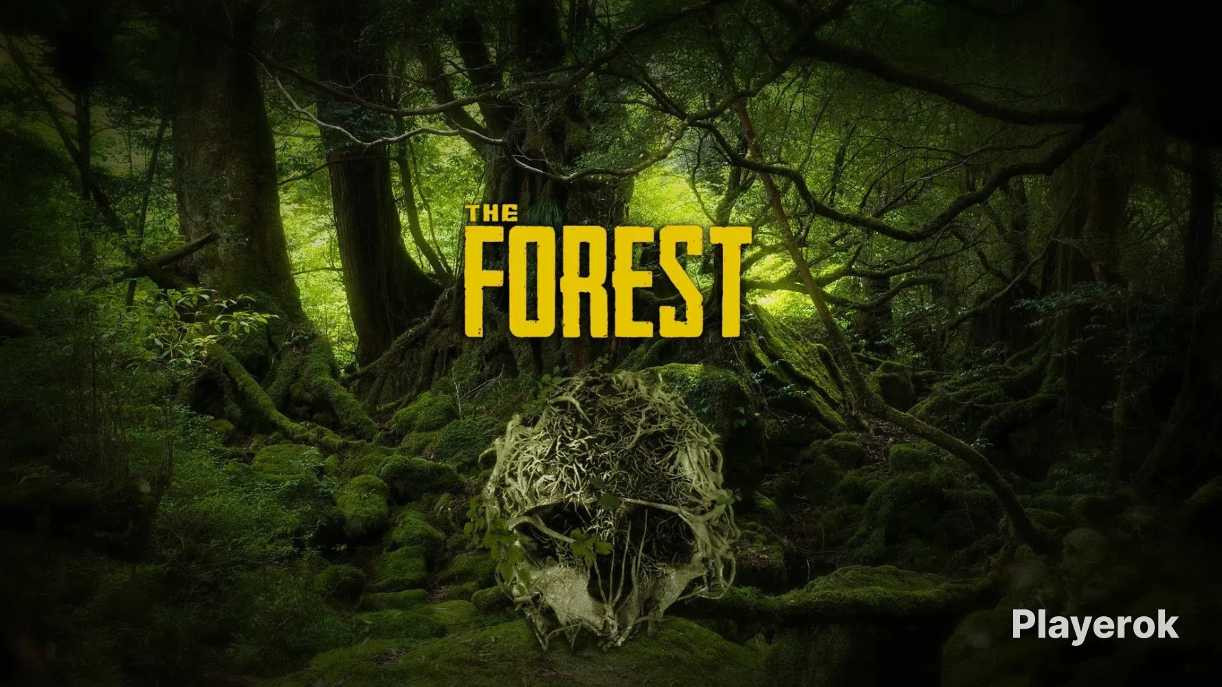 Купить The Forest🔥 || 🎁STEAM GIFT🎁 Sons Of The Forest за 129 ₽ - Ключи ...