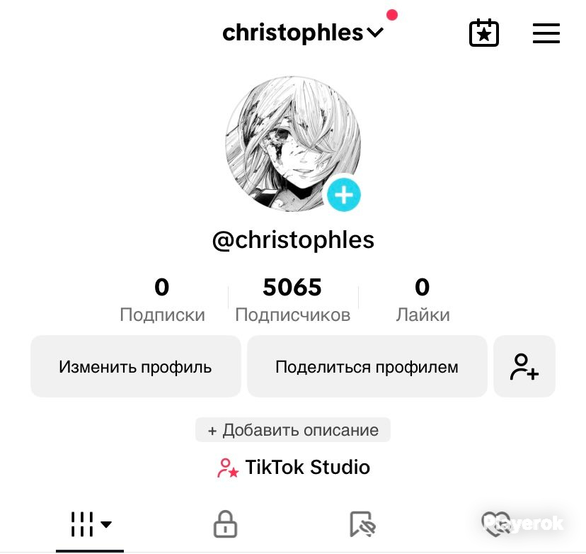 Сколько зарабатывает в тик токе подписчиков. Сколько зарабатывает в тик токе подписчиков